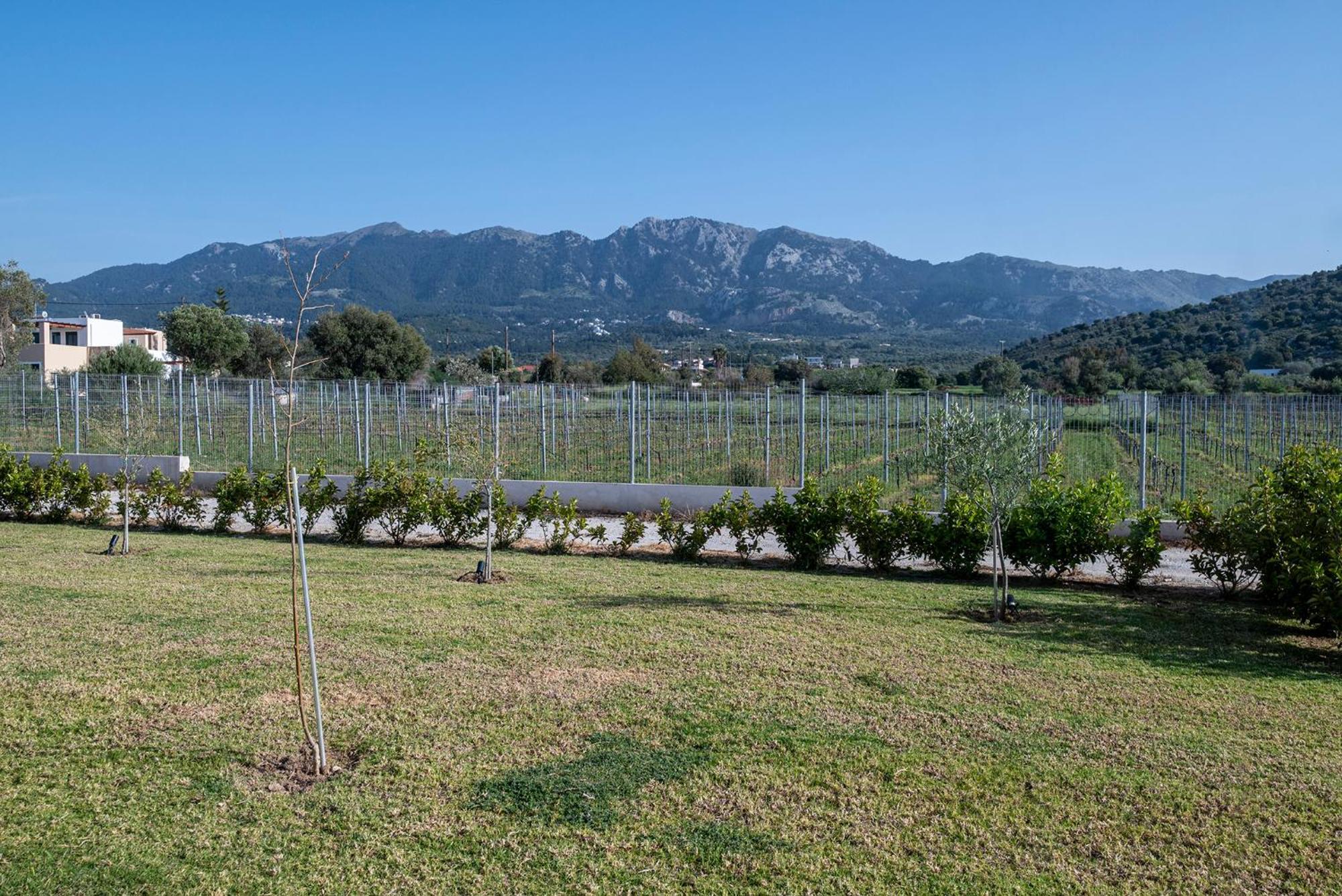Вилла Olive Tree Garden Linopotis Экстерьер фото
