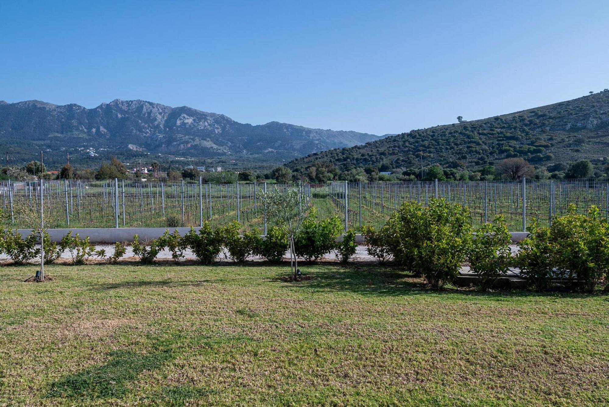 Вилла Olive Tree Garden Linopotis Экстерьер фото